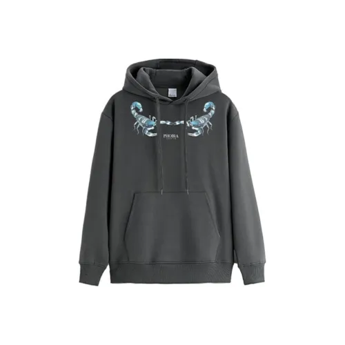 PHOBIA ARCHIVE Свитшот Мужской Темно-Серый