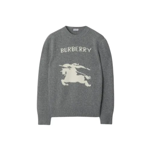 Burberry Серые Мужские Свитера