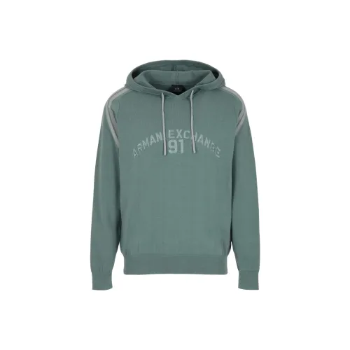 ARMANI EXCHANGEAE SS24 Трикотаж Мужской Серый Зеленый