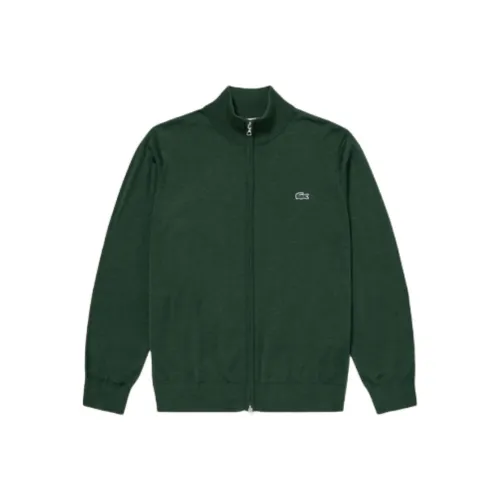 Свитеры для мужчин LACOSTE Collaboration зеленого цвета