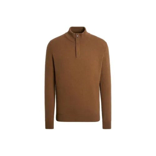 Ermenegildo Zegna Коричневые Мужские Свитера