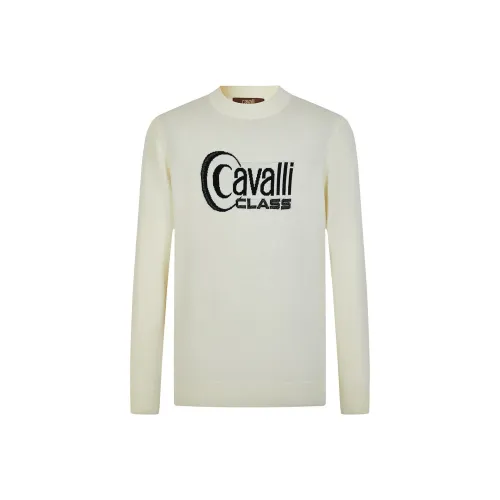 Cavalli Class Мужские Свитера