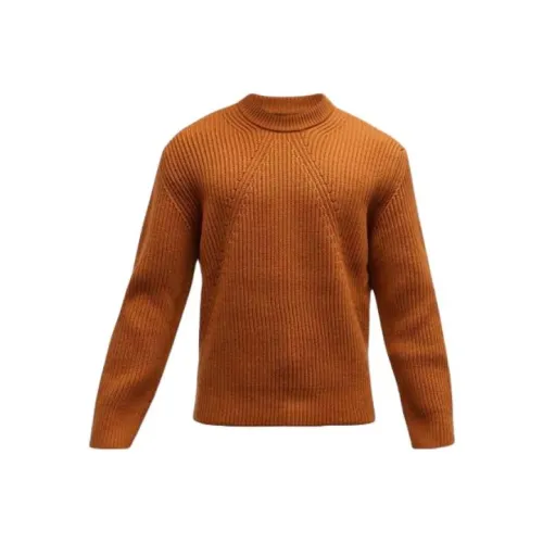 Ermenegildo Zegna Коричневые Мужские Свитера