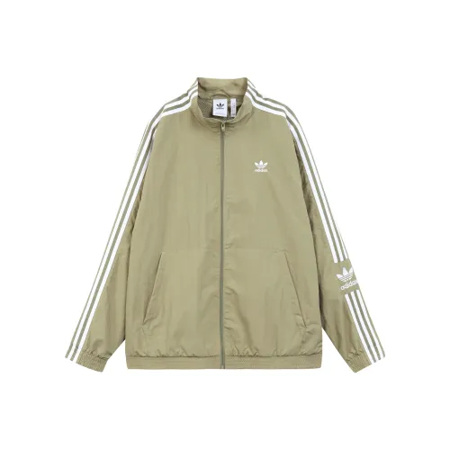Adidas Originals Коричневый Мужской Куртки