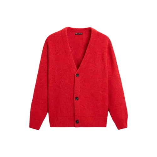 ZARA Мужские Свитера
