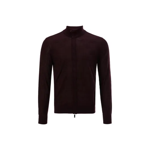 EMPORIO ARMANI Свитер Мужской Темно-Коричневый