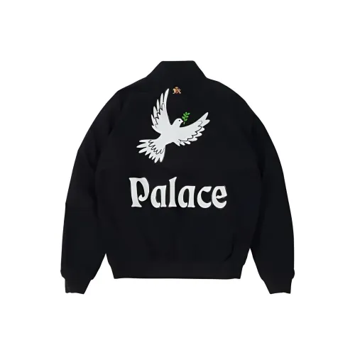 Дворцовый черный унисекс куртки