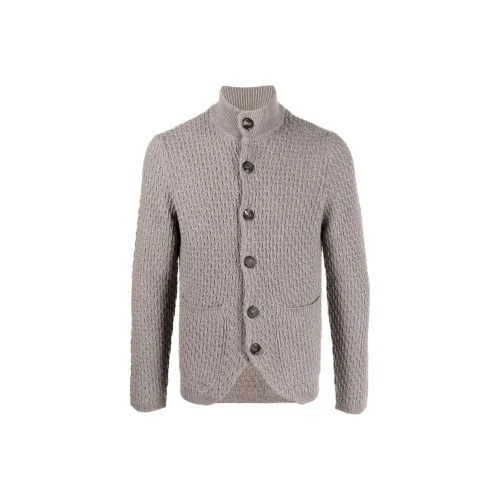 Canali Бежевые Мужские Свитера