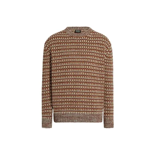 Ermenegildo Zegna Темно-коричневые Мужские Свитера