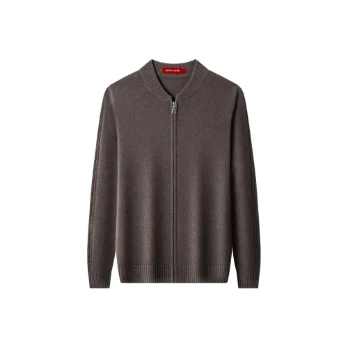 PIERRE CARDIN Мужские Свитера