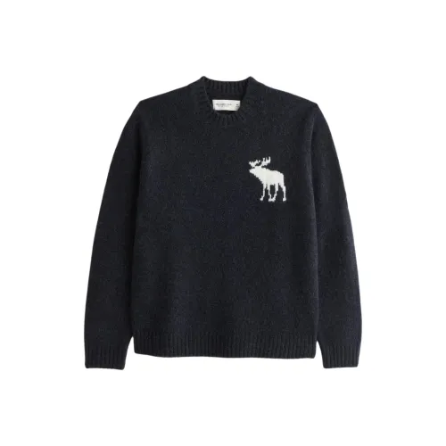 Abercrombie＆Fitch Темно-синий Унисекс Свитеры