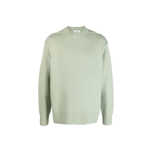 Lanvin Зеленые Мужские Свитера