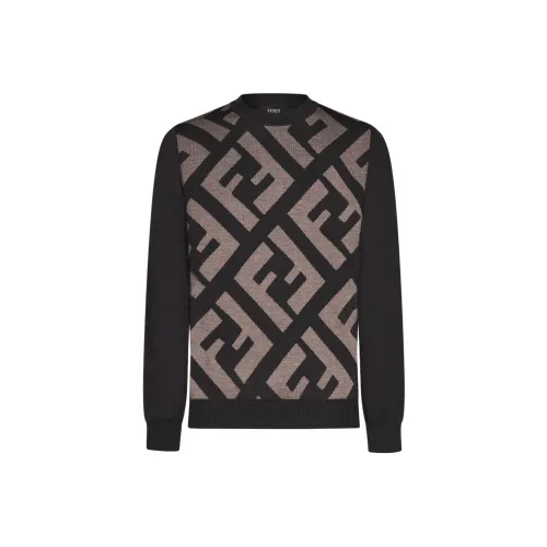 Fendi Коричневые Мужские Свитера