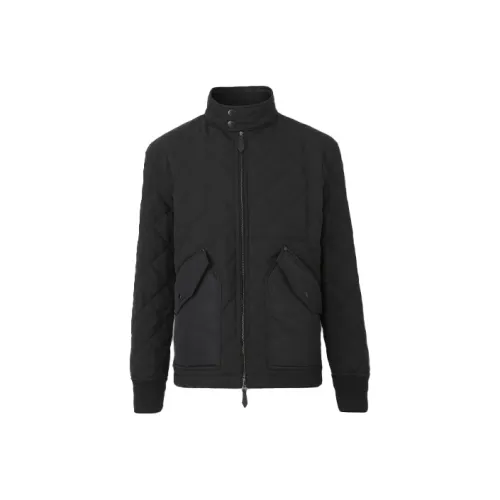 Burberry Мужские Куртки