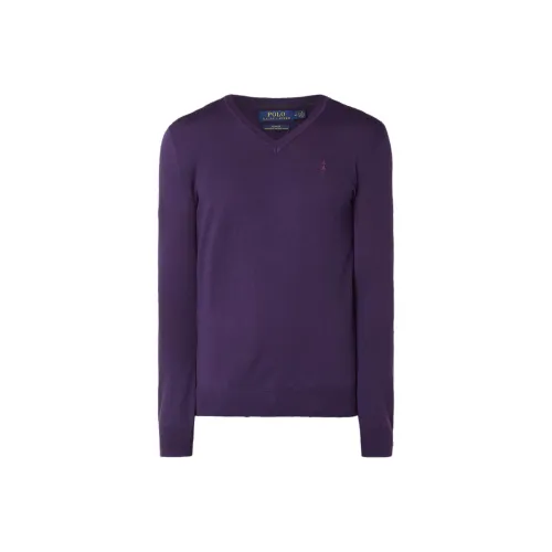 Polo Ralph Lauren Свитер Мужской Фиолетовый