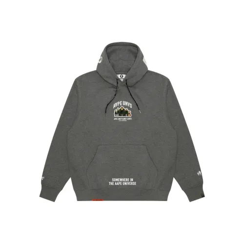 Aape FW24 Толстовка Мужской Серый