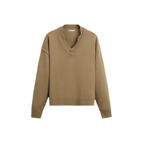 ZARA Коричневые Мужские Свитера