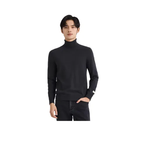 ZIOZIA Серый Мужской Трикотаж