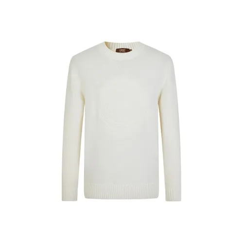 Cavalli Class Мужские Свитера