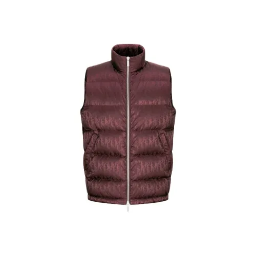 DIOR Quarterly New Products Бургунди Мужские Куртки