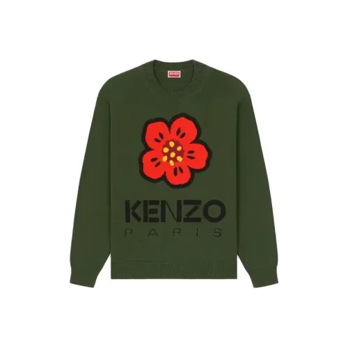 KENZO Зеленые Мужские Свитера