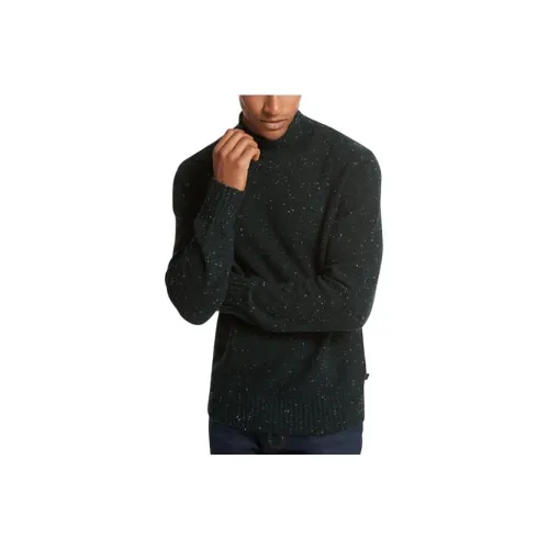 MICHAEL KORS Переработанная шерсть Смесь Roll Шея Свитер Мужской Loden Смешанный цвет