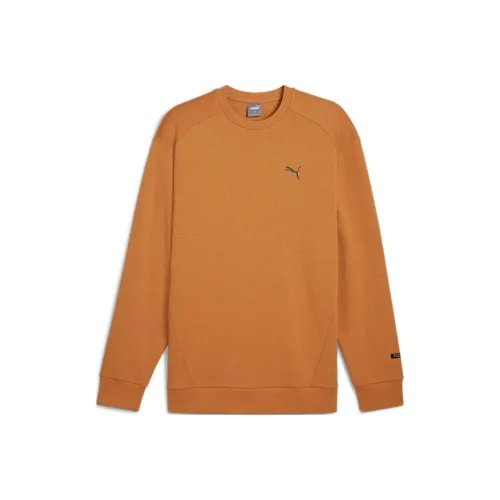 PUMA Коричневый Мужской Свитшот