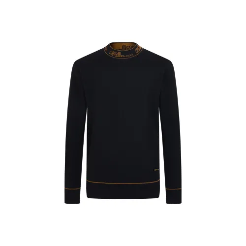 Cavalli Class Мужские Свитера