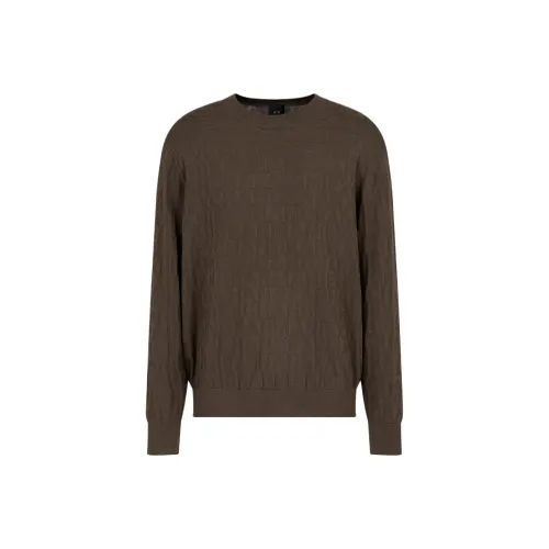 ARMANI EXCHANGEAE FW24 Трикотаж Мужской Оливково-коричневый