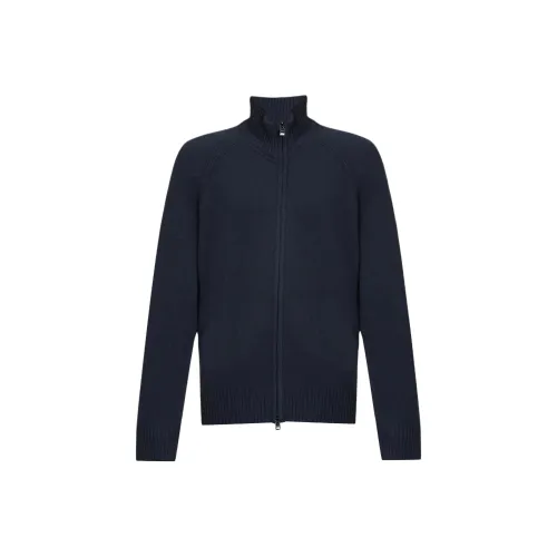 Hugo Boss Синий Мужской Трикотаж