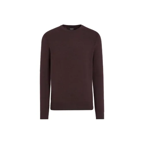 Ermenegildo Zegna Коричневые Мужские Свитера