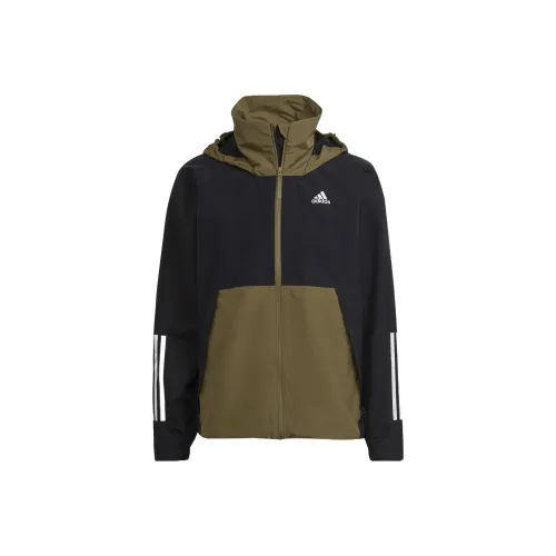 Adidas Оливково-зеленый Мужские Куртки