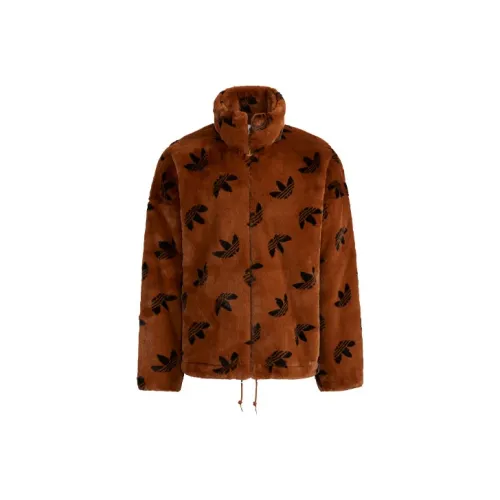 Adidas Originals Куртка International Size Зимний Унисекс Коричневый