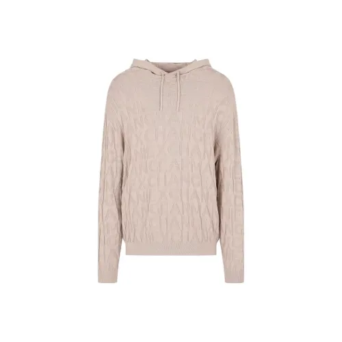 ARMANI EXCHANGEAE FW24 Свитшот Мужской Светлый Умбра