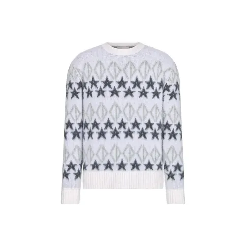 DIOR Серый Мужской Трикотаж