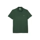 Тёмно-зелёный