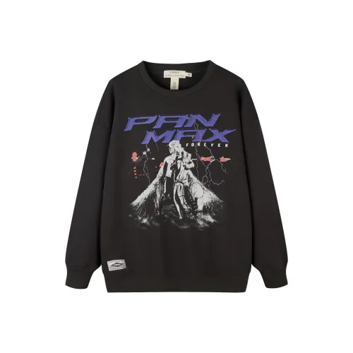 PANMAX Толстовка Мужская Темно-Серый