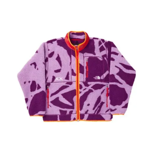 THE NORTH FACE KAWS Куртка Мужская Фиолетовая