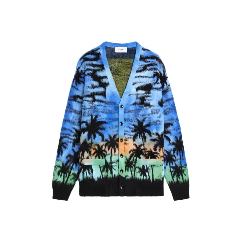 CELINE Мужские Синие Свитера