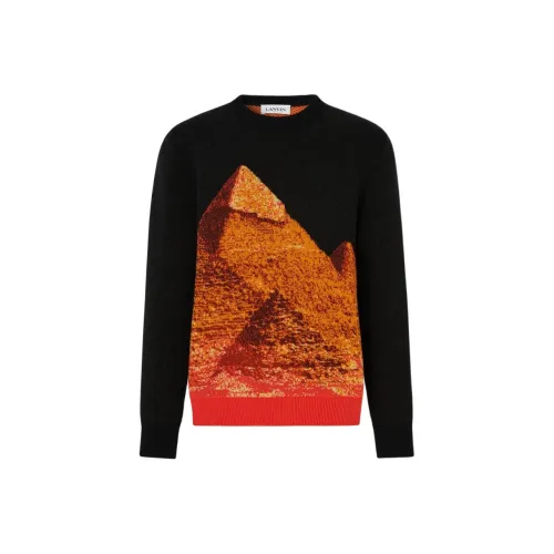 Lanvin Черные Мужские Свитера