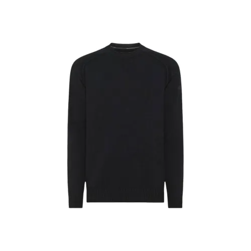 Roberto Ricci Designs Мужские Синие Свитера