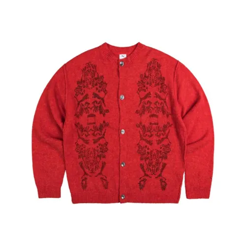 PUMA x ARIES FW24 Трикотаж Унисекс Timeless Red