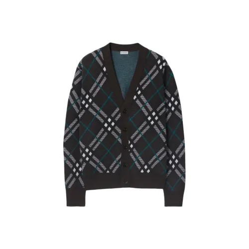 Burberry Серый Мужской Трикотаж