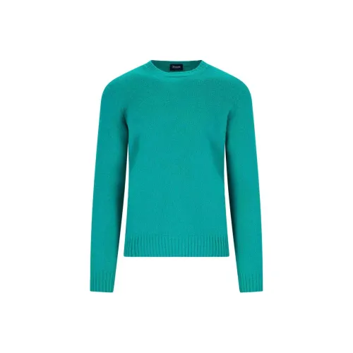 Drumohr Зеленые Мужские Свитера