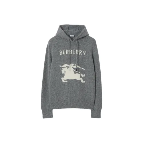Burberry Серые Мужские Свитера