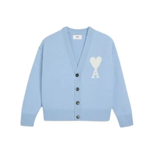 amiparis SS24 Свитер Унисекс Небесно-Синий