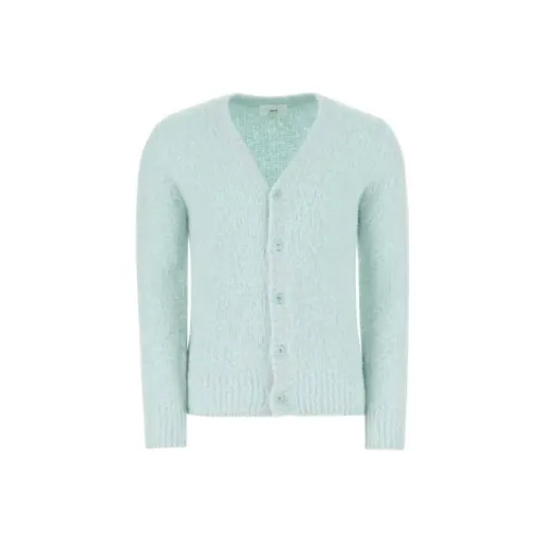 AMIPARIS Трикотаж Мужской Мятно-Зеленый