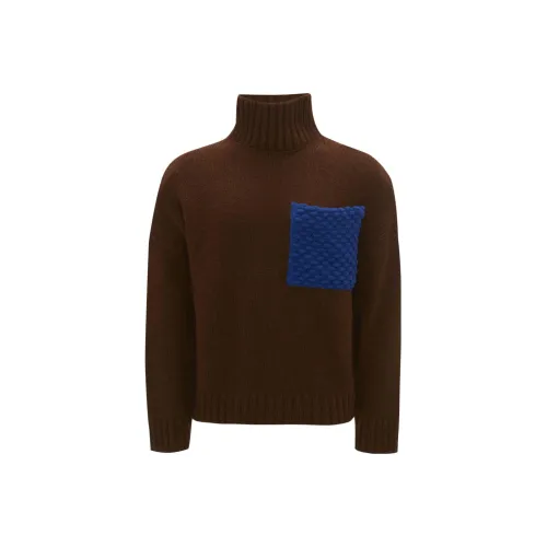 JW Anderson Коричневые Мужские Свитера