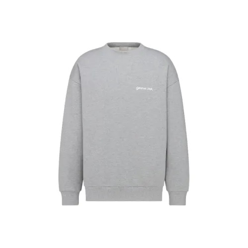 DIOR Серый Мужской Свитшот