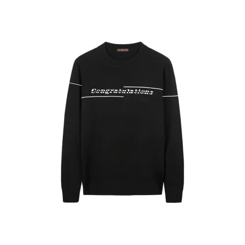 Wit Черные Мужские Свитера